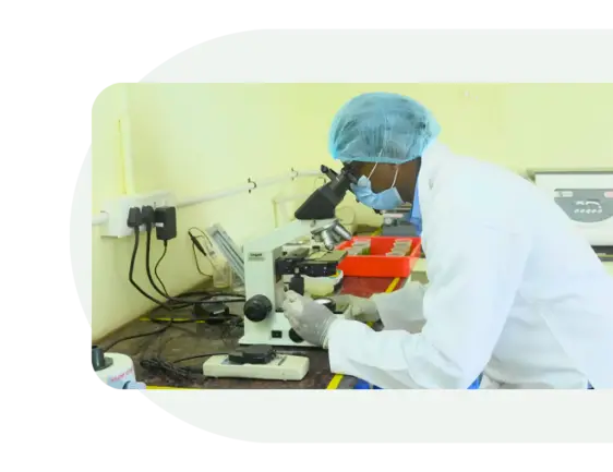 Microscopy work in the Nutrialgo laboratory